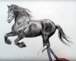 Dessiner un cheval par Leonardo Pereznieto